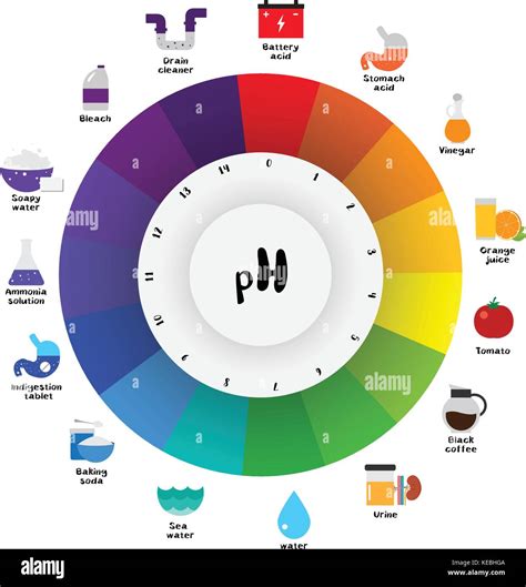 The pH scale Universal Indicator pH Color Chart diagram acidic Stock ...