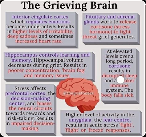 How Grief affects your brain | Marcie Richardson posted on the topic ...