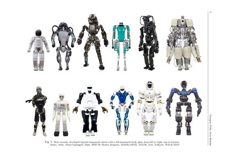 Humanoid 的图像结果