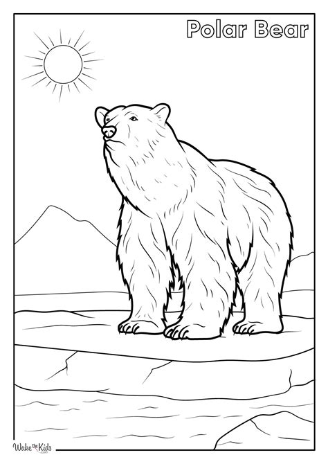Polar Bear Coloring Pages (Free Printable PDFs) | WakeTheKids