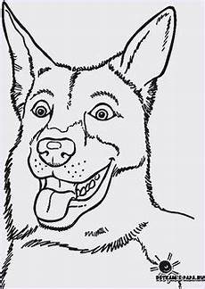 ausmalbilder hund katze pferd ausmalbilder tiere gratis 02 tierbilder zum ausmalen ausmalbilder hund katze pferd ausmalbilder tiere gratis 02 tierbilder zum ausmalen