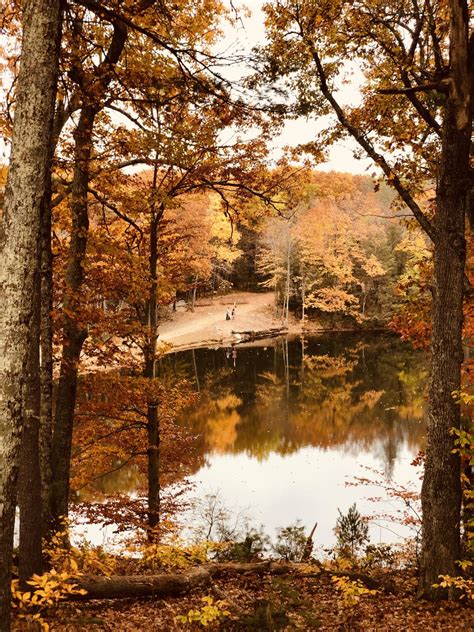 First time playing Maple Hill. Lost 3 disc but had the best time ever : r/discgolf