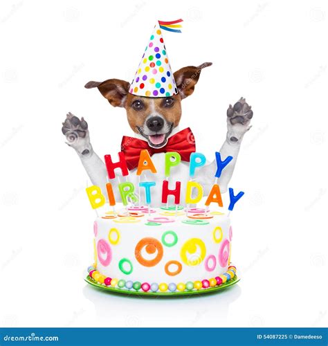 Happy birthday dog stock image. Image of celebrate, anniversary - 54087225