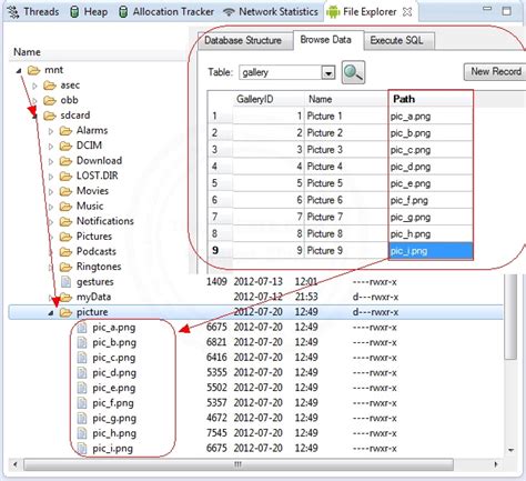 How to Use Spinner in SQLite in Android Studio 的图像结果