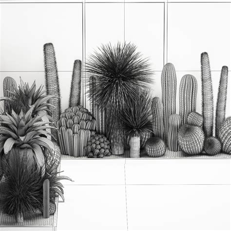 Collection Of Tropical Desert Plants - 3D Model for VRay