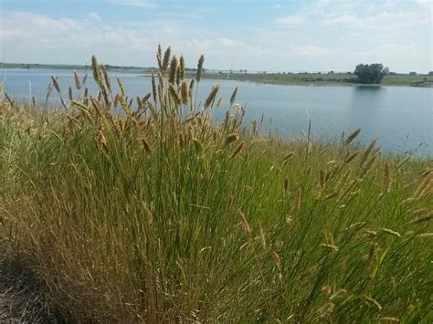 Garrison Tourism (2023): Best of Garrison, ND - Tripadvisor