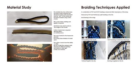 Manta Rays | CEPT - Portfolio