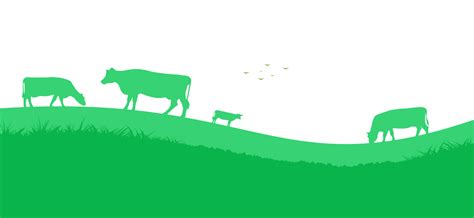 Happy Nature | Farm-Fresh Organic Milk, Ghee, Paneer, Curd & Dairy ...