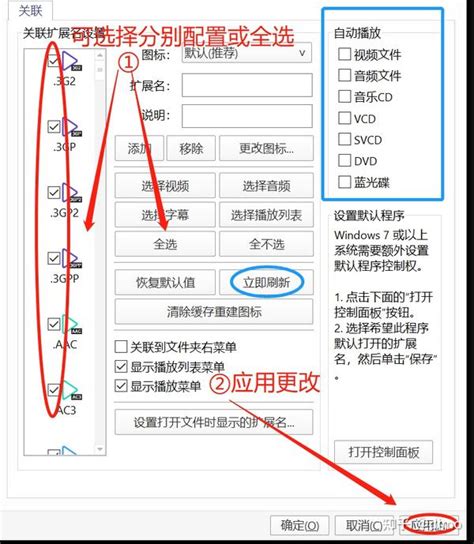 PotPlayer Setup 的图像结果
