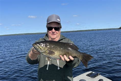 Smallmouth Bass Voyageurs National Park | Crane Lake, MN