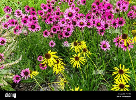 Image result for Multiplication Using Box Method