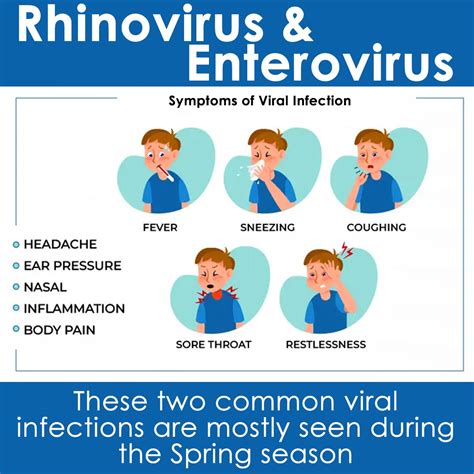 Viral infections: Rhinoviruses and Enterovirus | Midtown New York ...