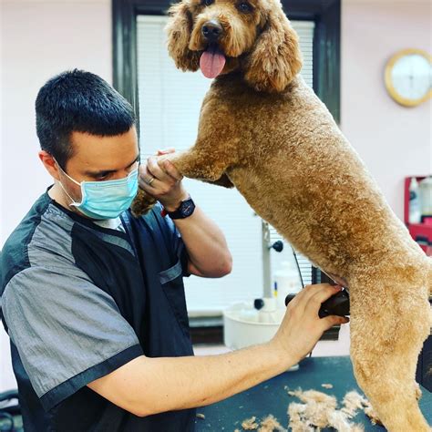 Bark 'N Bubbles Dog Wash & Grooming Salon | Fairfax, VA