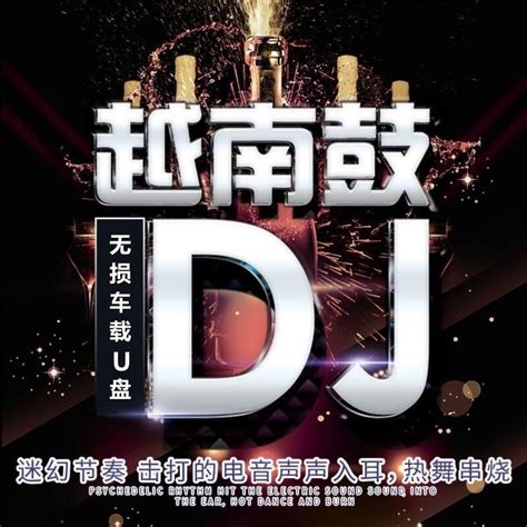 炸街越南鼓DJ舞曲車用音樂勁爆重低音DJ串燒咚鼓DJ嗨曲MP3音樂車用用品 | 露天拍賣