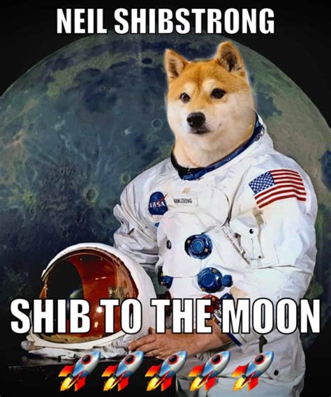 Shiba Inu Prediction: What's Next for This Popular Meme Coin?