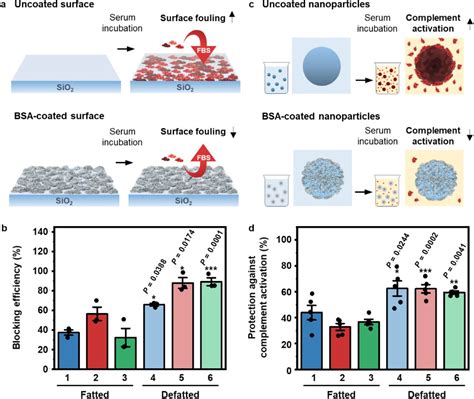 Quantitative assessment of bovine serum albumin proteins for blocking ...