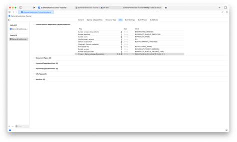 Xcode Camera Access Tutorial 的图像结果