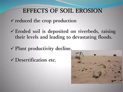 Conservation Of Soil Erosion Class 10