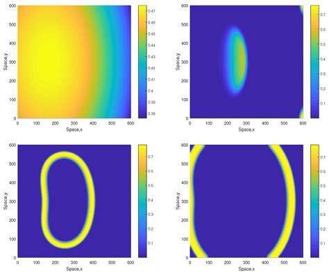 Pattern Formation in a Model Oxygen-Plankton System