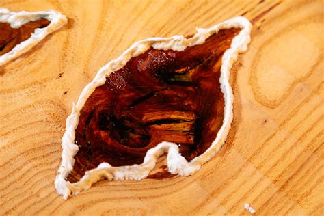 Can I Add Acrylic Paint To Resin at Tina Besaw blog - can you mix oil and acrylic paint