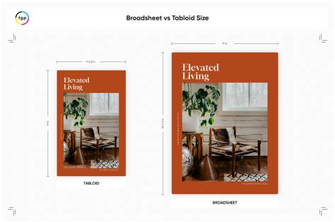 Common Newspaper Sizes Guide | Thomas Group Printing