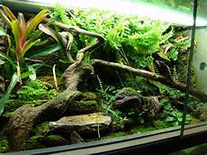 le exo terra exo terra terrarium reptiles zoo le exo terra exo terra terrarium reptiles zoo