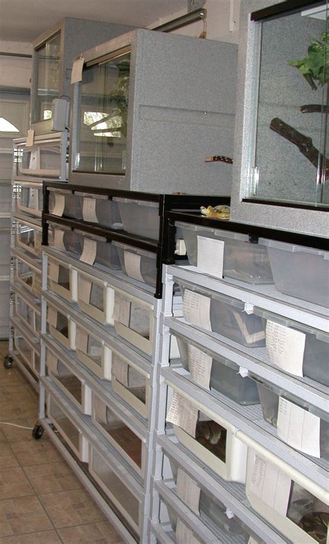 Image result for Ball Python Rack Setup