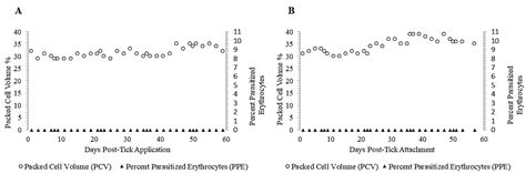 A U.S. Isolate of Theileria orientalis Ikeda Is Not Transstadially ...