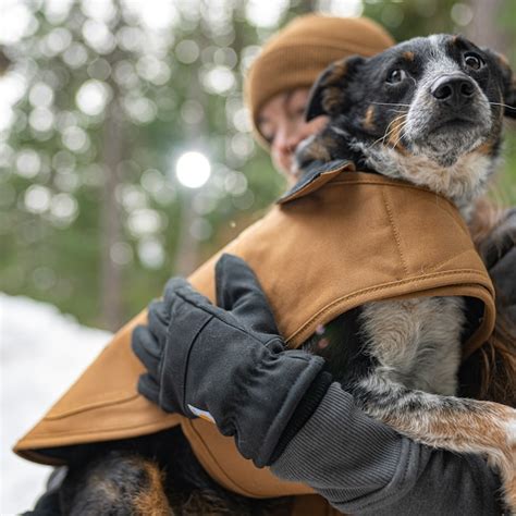 Carhartt Firm Duck Insulated Dog Chore Coat P000054820105 at Lowes.com