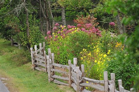 Rustic Fence Around Vegetable Garden