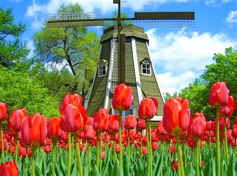 WEATHER HOLLAND - Weather | Weather Forecast