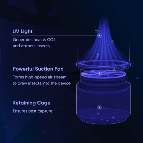 6 Essential Tips for Effective Pest Control: The 2025 U.V. Lamp Guide
