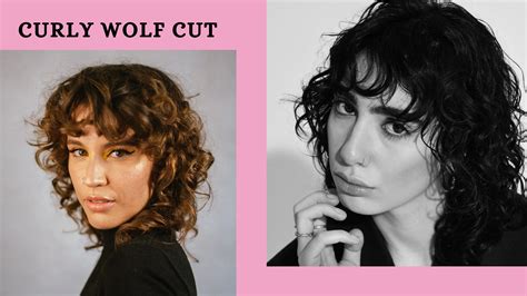 Curly Wolf Cut : Trending Korean Hairstyle - Learn Loft Blog
