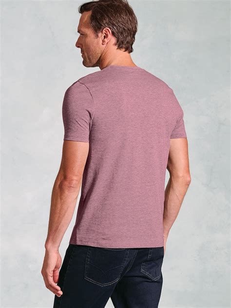 Buy Brook Taverner Purple Pure Cotton Jersey T-Shirt from Next India