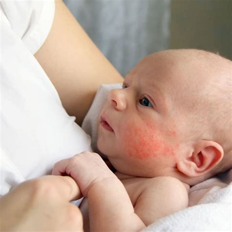 Image result for Programmers Day