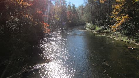 Toe River Campground North Carolina: Camping & Outdoor Fun