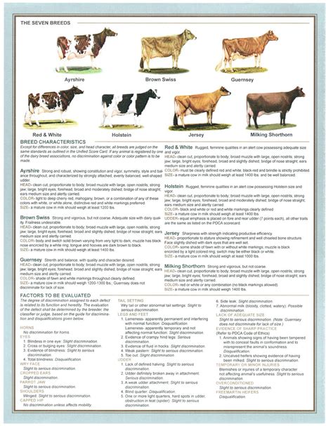 Dairy Cattle Breeds Pdf at Gregory Price blog