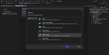 Image result for IIS .Net Core 6 Web API with Domain Name