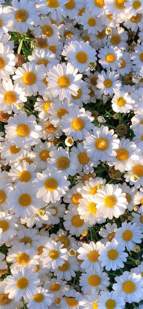 小众而又惊艳ins壁纸 欧美壁纸ins高级质感 - 第 2 | 犀牛图片网