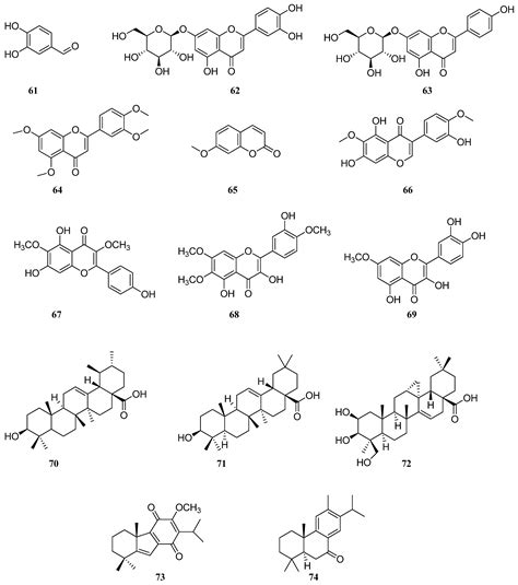 A Review of Botany, Phytochemistry, and Biological Activities of Eight ...