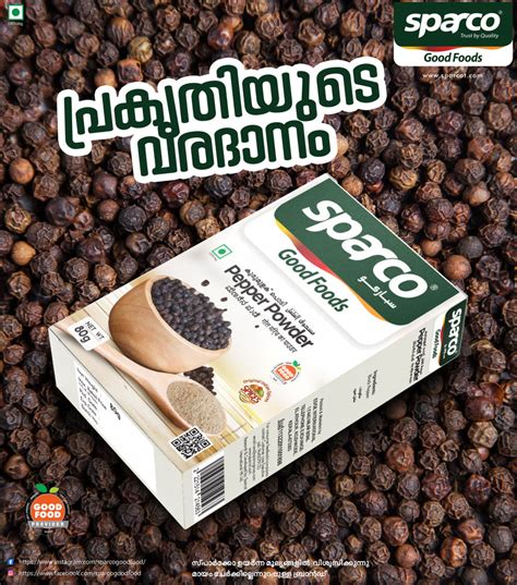 PEPPER POWDER – www.sparcofoods.com