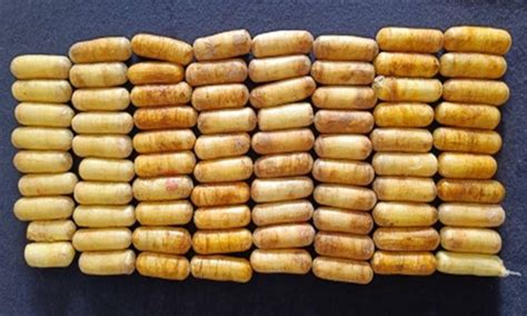 Tanzanian 'purges' smuggled cocaine capsules worth Rs. 11.57 crore