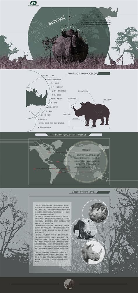专题页面 动物保护 犀牛|网页|专题/活动|森季 - 原创作品 - 站酷 (ZCOOL)