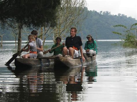 Image result for Eastern Java Bali Rain Forest