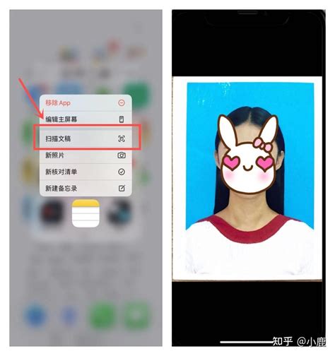 用手机怎么弄身份证扫描件？不妨来试试这个方法_识别_功能_证件