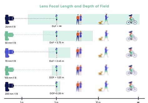 08 What is FOCUS in Photography: Key Concepts Explained