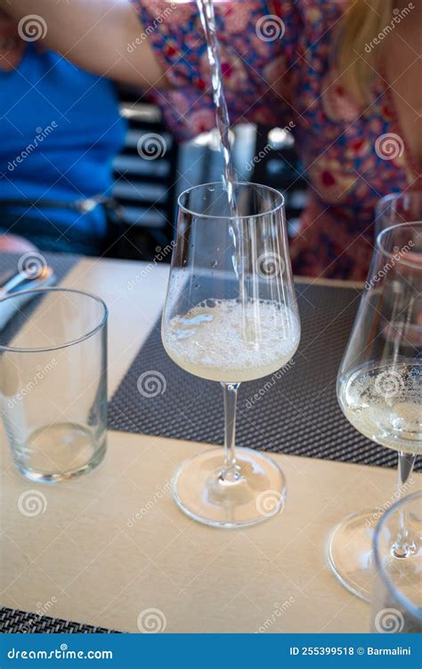 Drinking of Txakoli or ChacolÃ­ Slightly Sparkling Very Dry White Wine ...