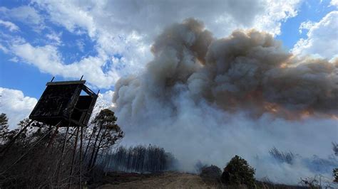 Tyrrell County fire grows to 5,384 acres, 48% contained