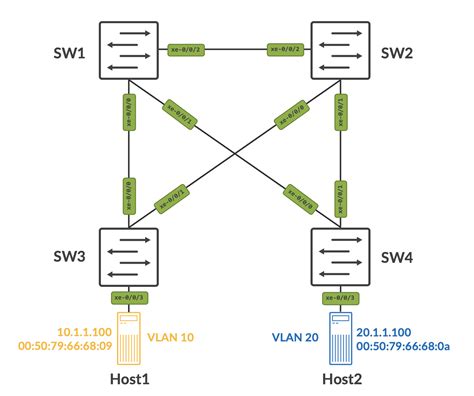Junos Python Script Example 的图像结果