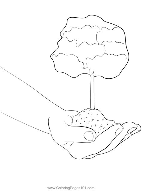 Environment Coloring Pages 的图像结果